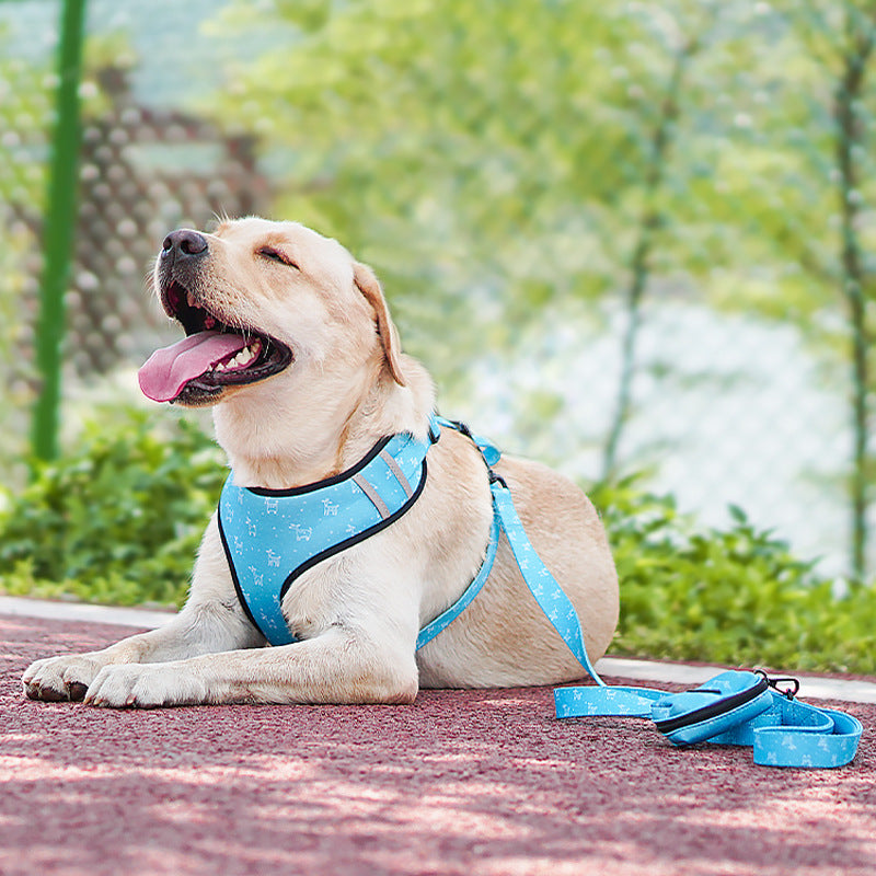 Pet Bow Harness Leash Walking Control Gear