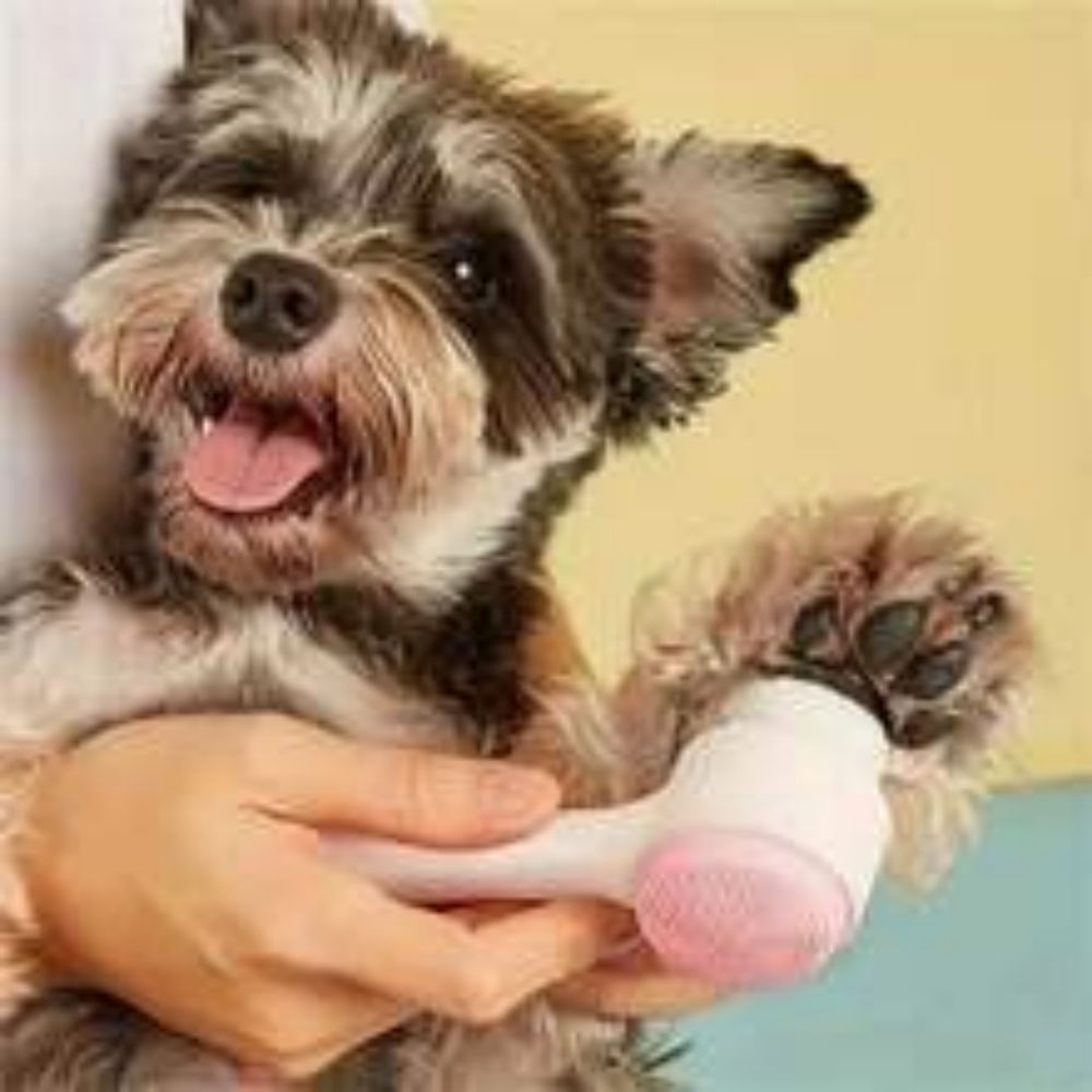 Pet Paw Brush Gentle Nylon Grooming Massage Cleaning Tool