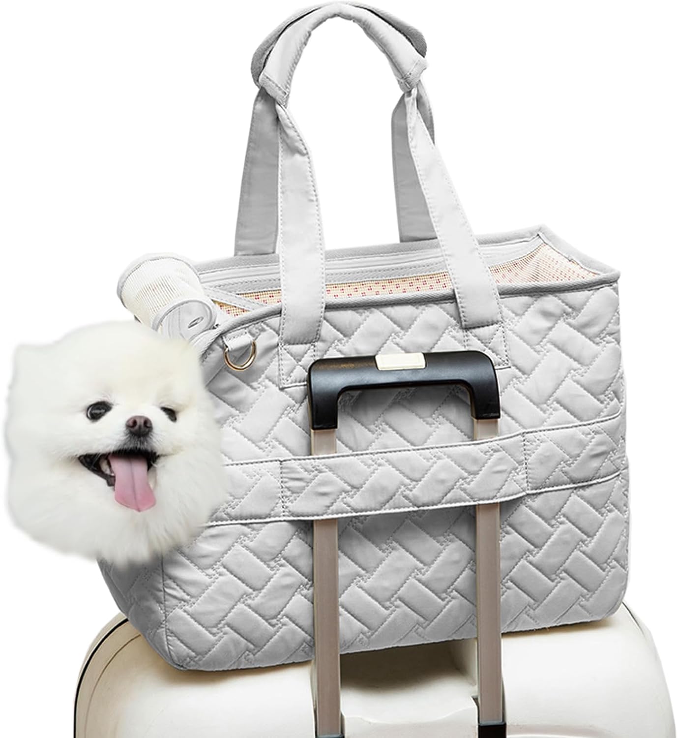 Pet Carrier Handbag Breathable Mesh Soft Cushion Travel Tote