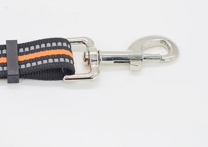 Pet Nylon Retractable Leash Walking Training Lead