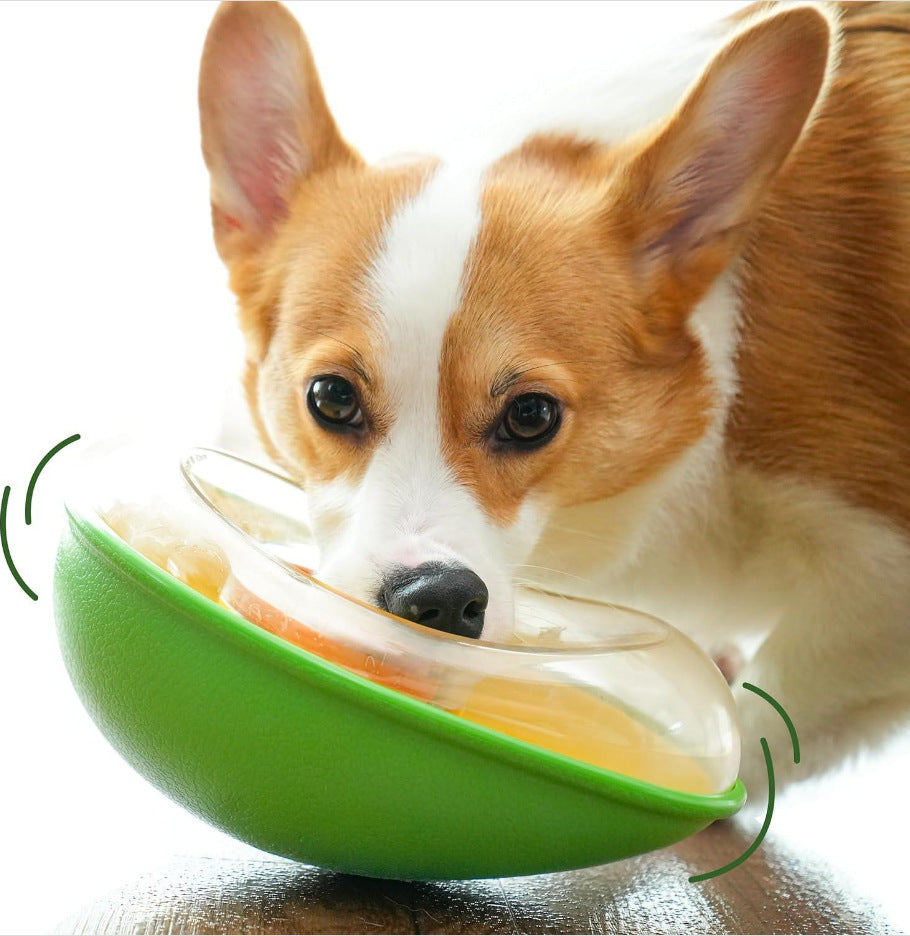 Anti Tumble Avocado Pet Feeding Bowl