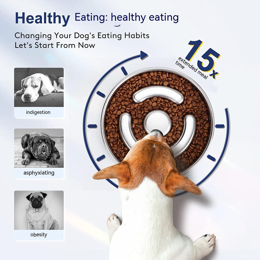 Pet Stainless Steel Slow Feeding Neck Support Bowl
