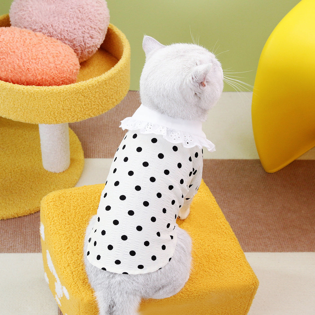 Pet Blue Casual Cotton T Shirt Apparel
