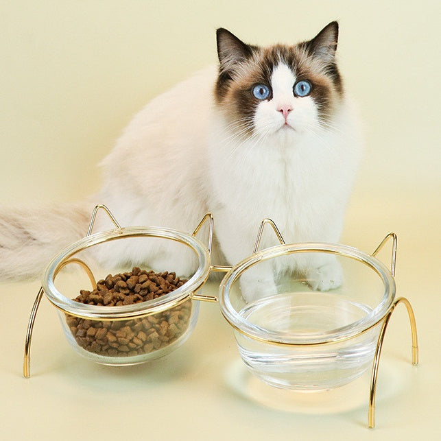 Pet Glass Feeding Bowl With Metal Stand For Food And Water