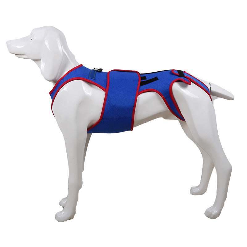 Pet Spine Support Jacket Posture Correction Aid
