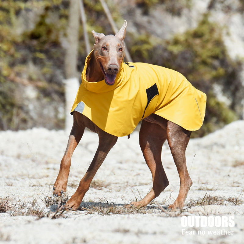 Pet Waterproof Windproof Outdoor Rain Jacket Apparel