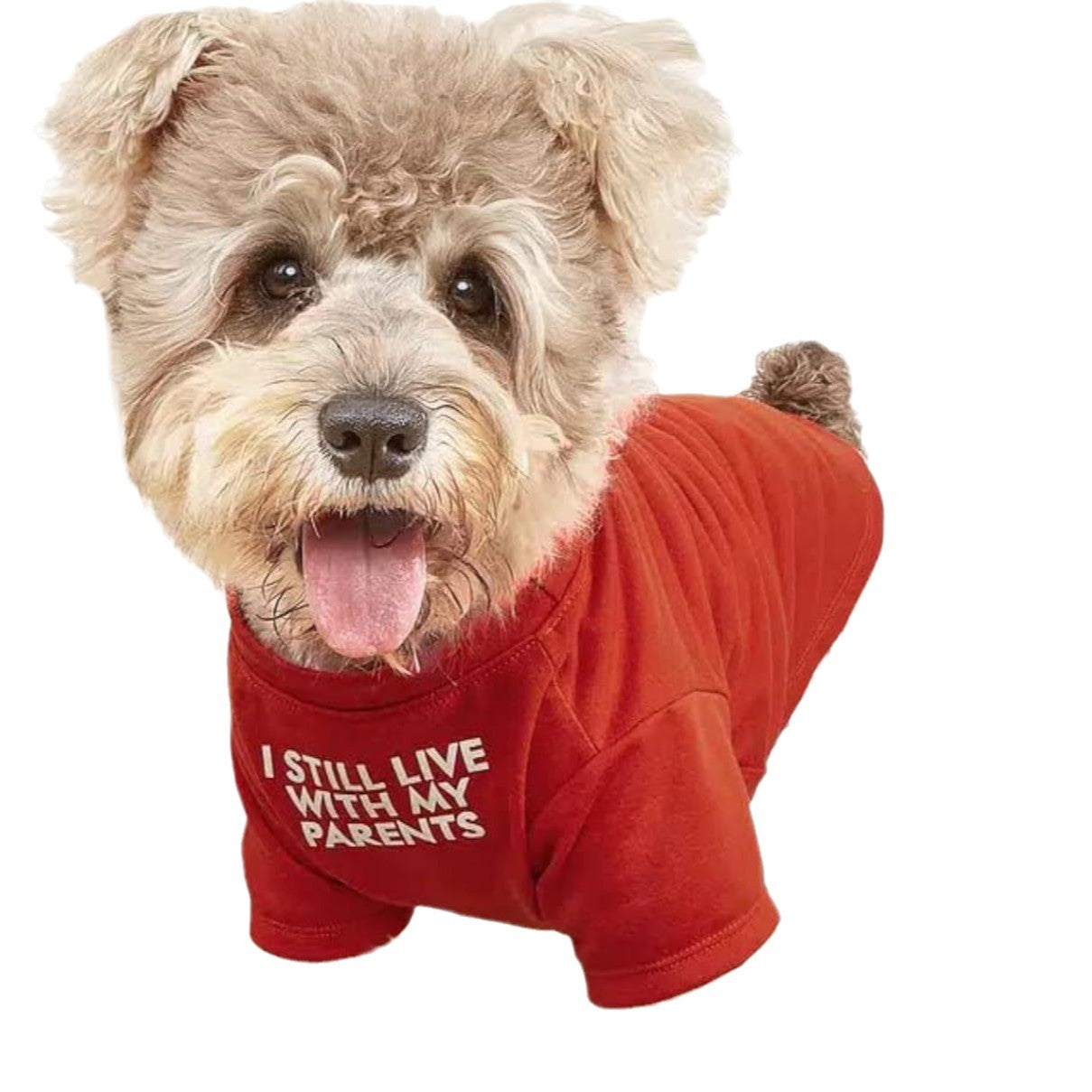 Pet Round Neck Casual Cotton T Shirt