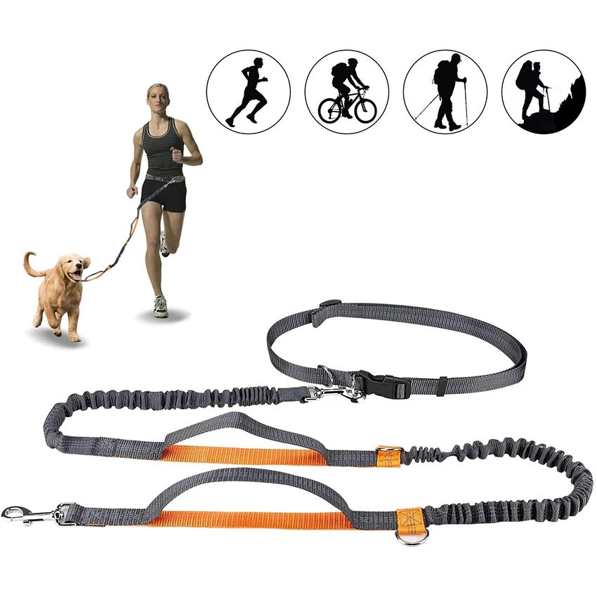 Pet Adjustable Harness Collar Jogging Leash Walking Gear