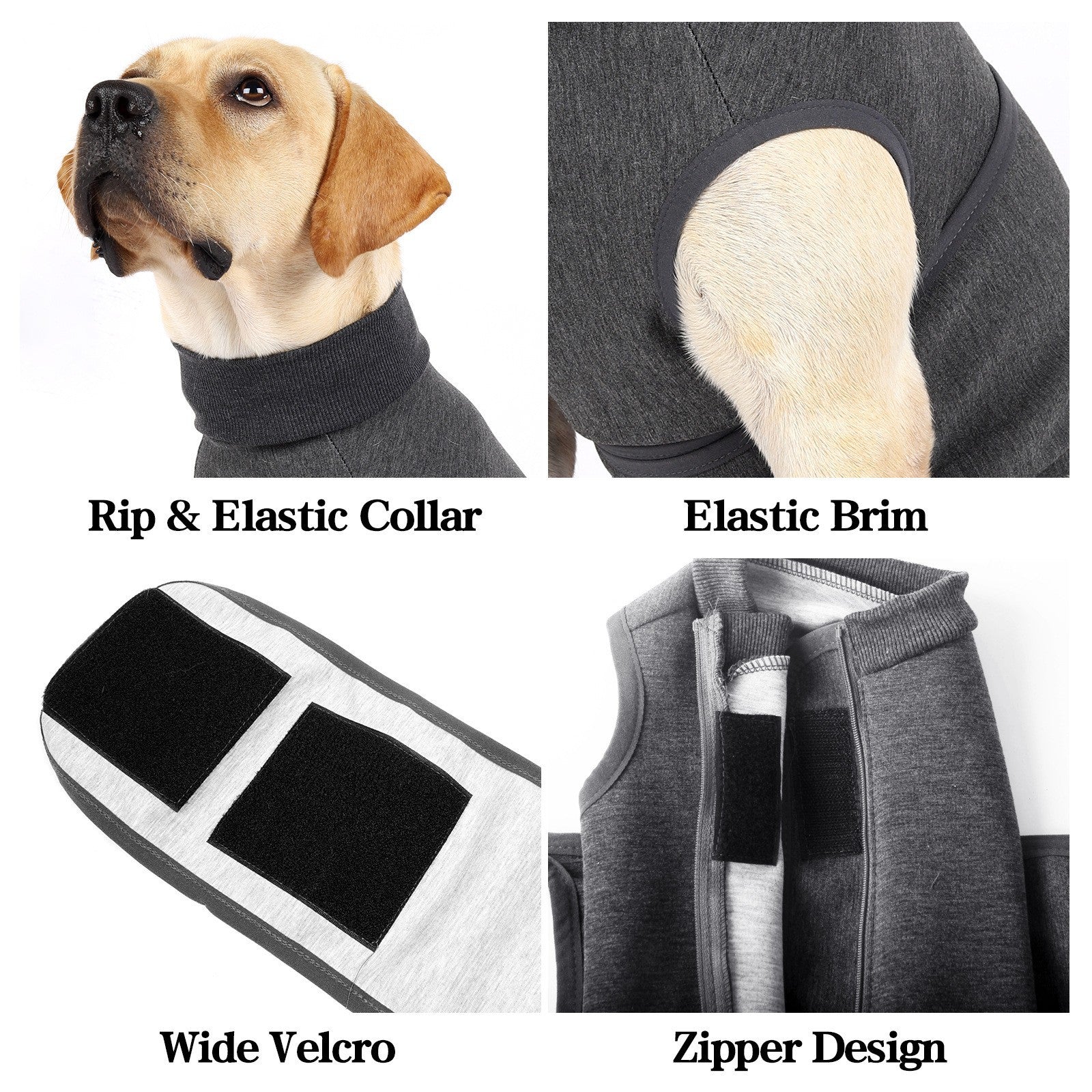Pet Cotton Polyester Comfort Double Layer Jacket Clothing