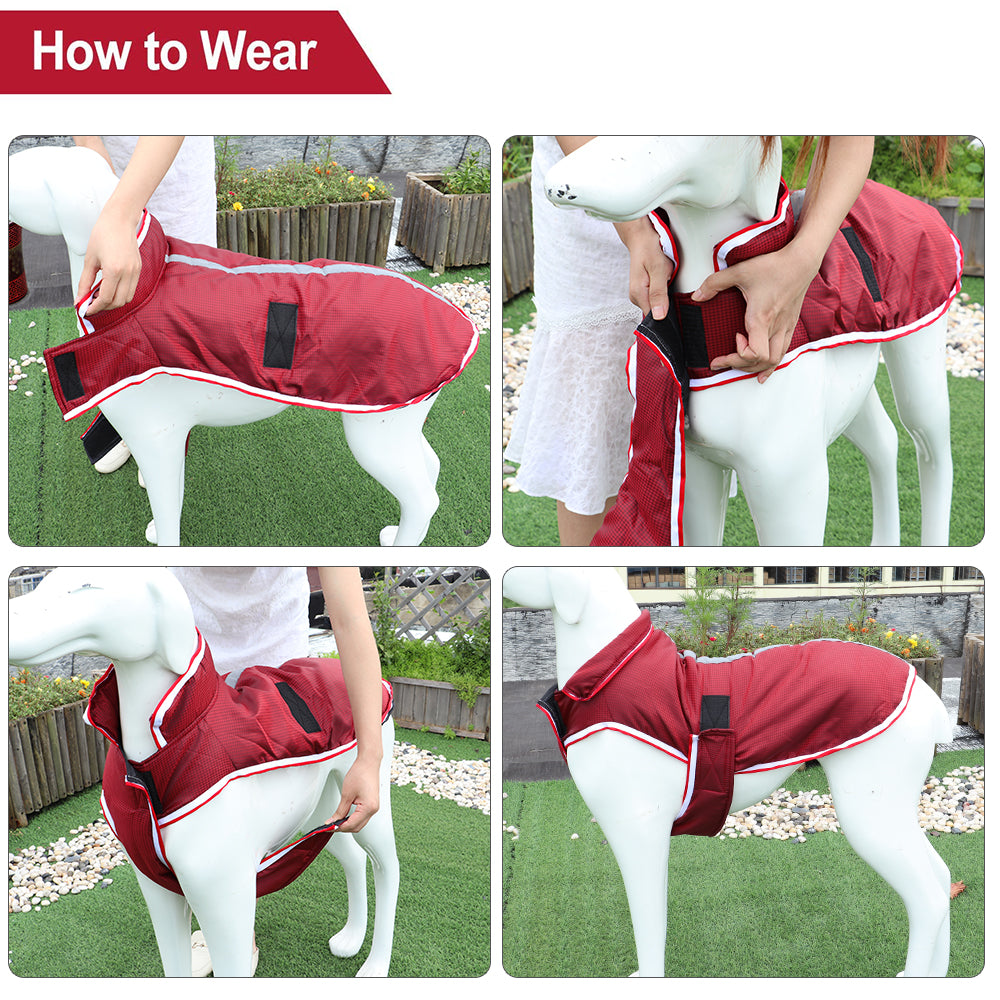 Pet Warm Waterproof Jacket Autumn Winter Leisure Wear