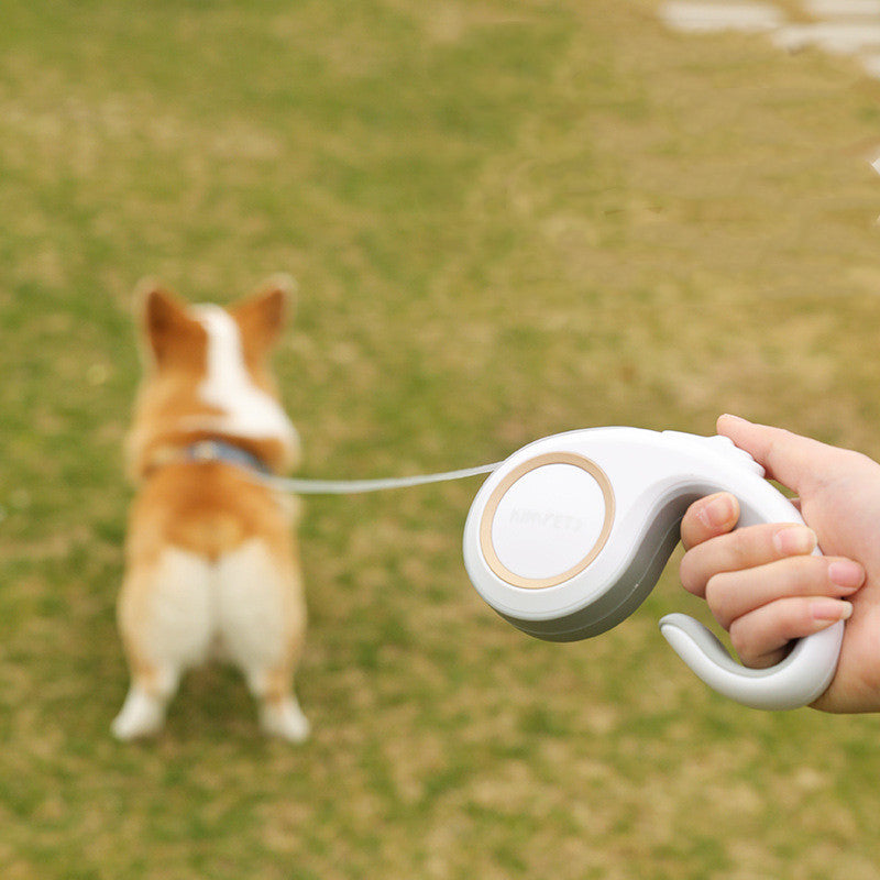 Pet Automatic Retractable Leash Walking Control Lead