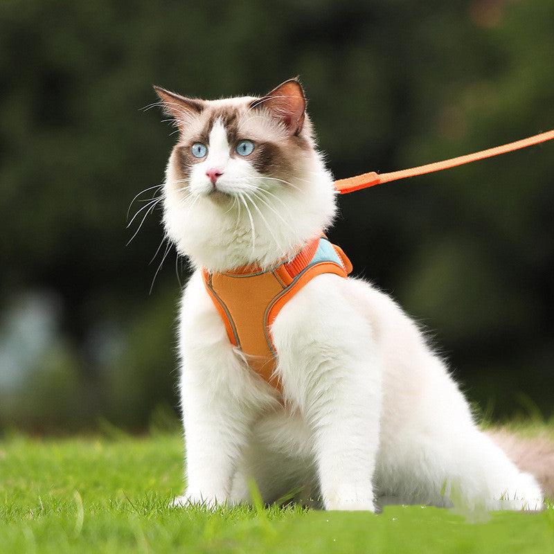 Pet Reflective Harness Leash Anti Escape Walking Gear