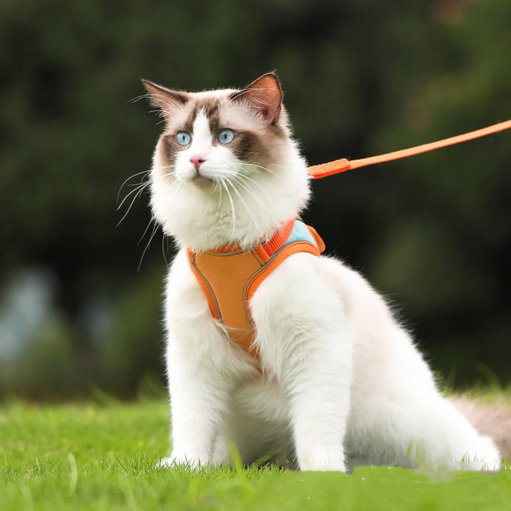Pet Reflective Harness Leash Anti Escape Walking Gear