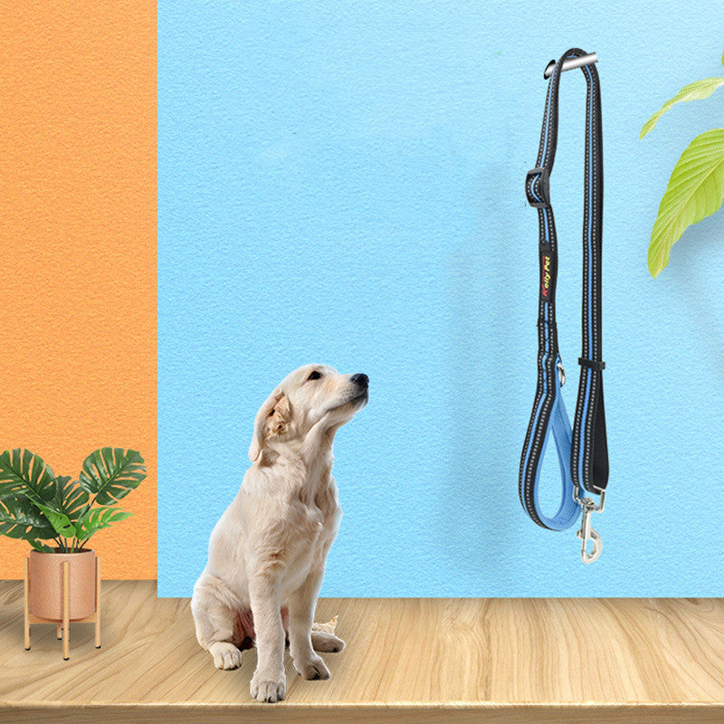 Pet Nylon Retractable Leash Walking Training Lead