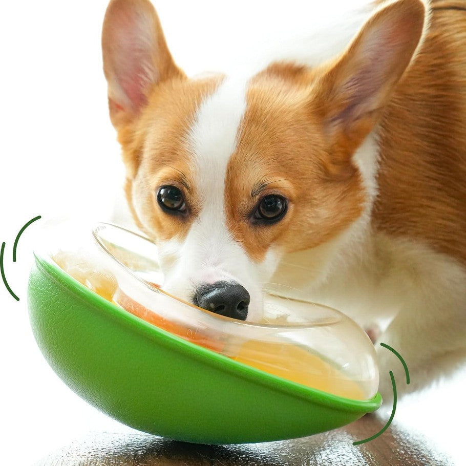 Anti Tumble Avocado Pet Feeding Bowl