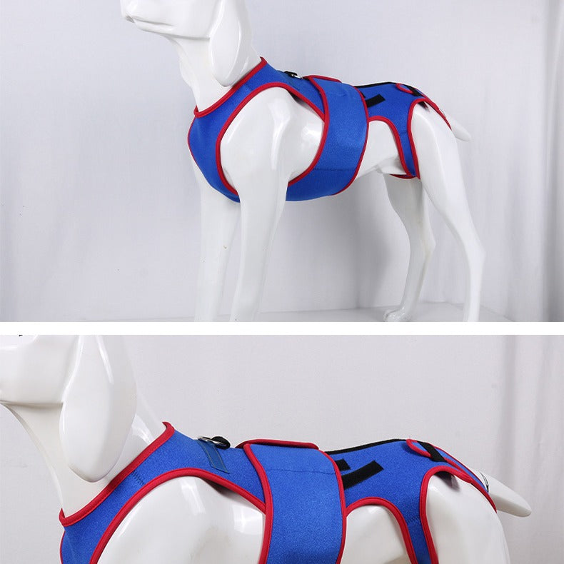 Pet Spine Support Jacket Posture Correction Aid