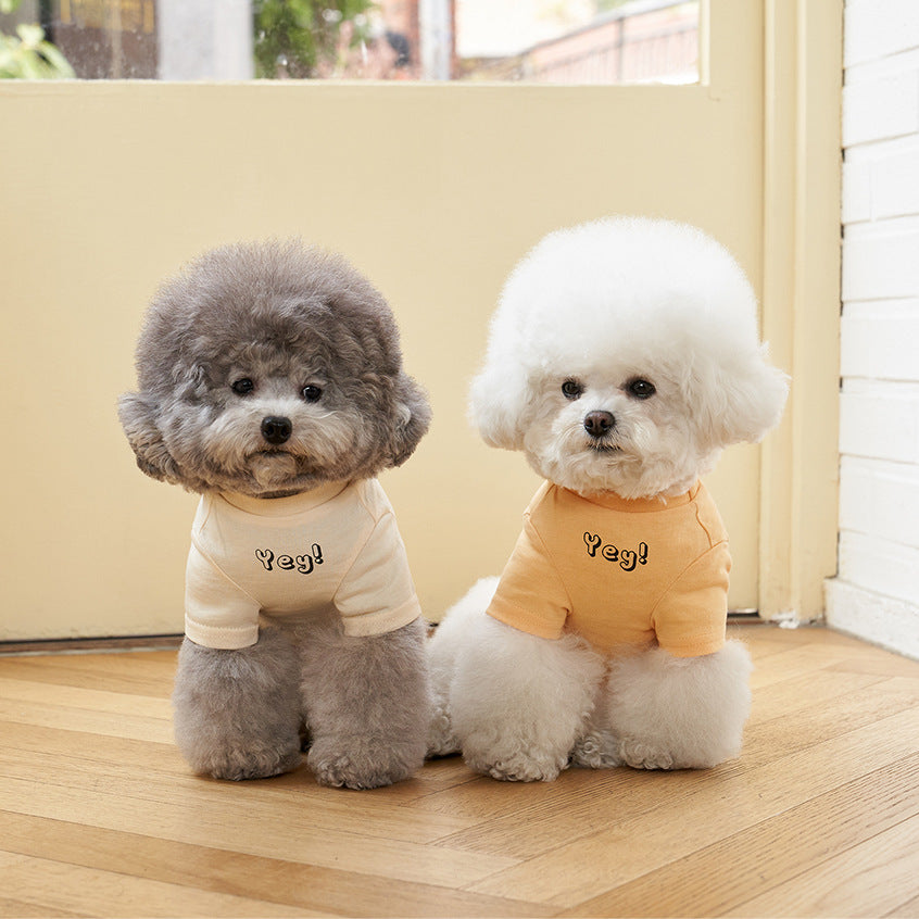 Pet Cotton Short Sleeve T-Shirt Korean Style Color Print Apparel