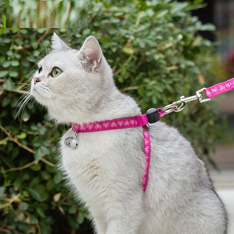Pet Bell Chest Strap Haulage Rope Vest Leash Harness