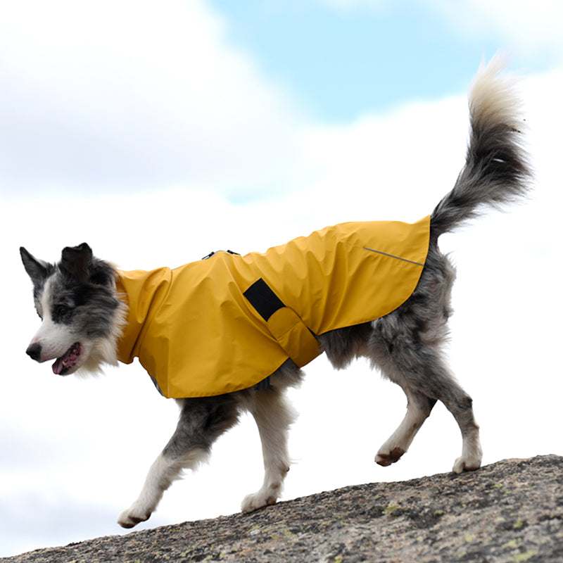 Pet Waterproof Windproof Outdoor Rain Jacket Apparel