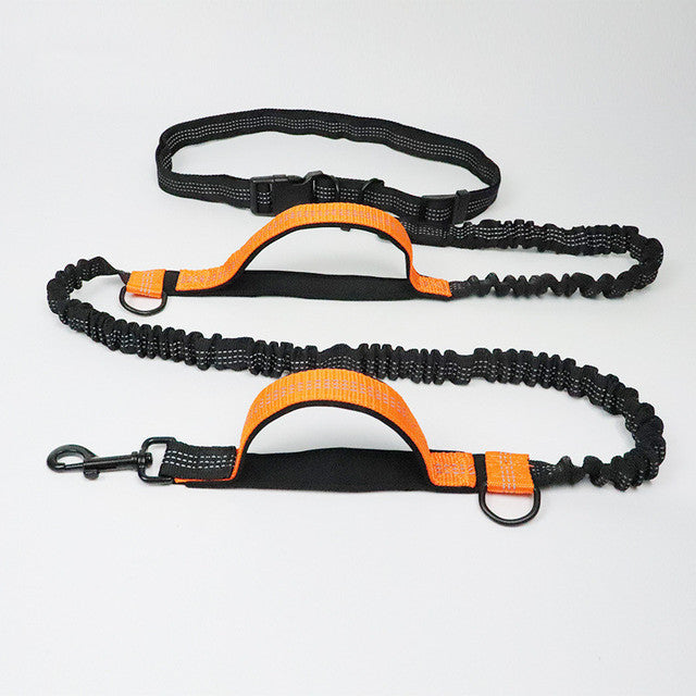 Pet Adjustable Harness Collar Jogging Leash Walking Gear